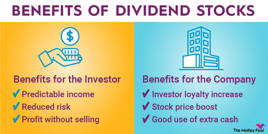 Best Dividend Stocks in 2024 and How to Invest | The Motley Fool