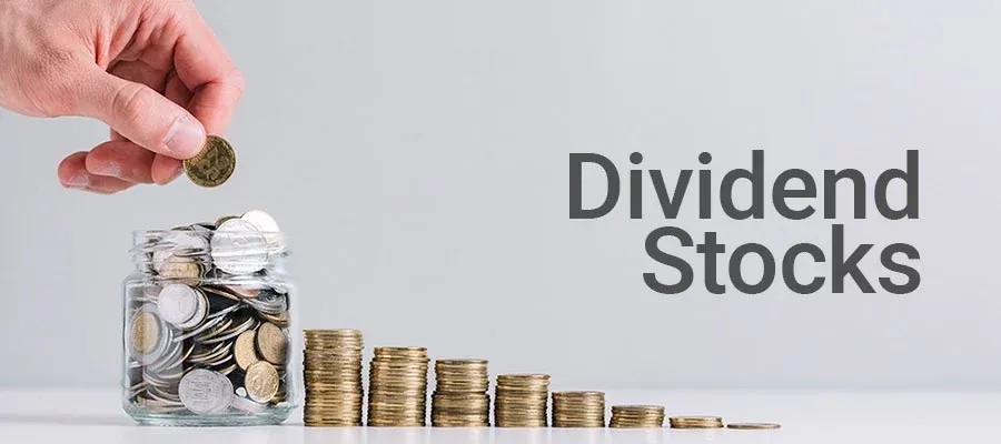 6 Rules for Successful Dividend Investing — Interactive Wealth Advisors