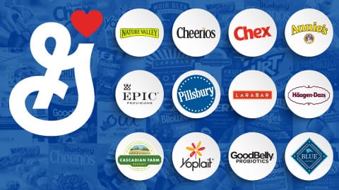 A Career In Strategy - The Generalist Strategist