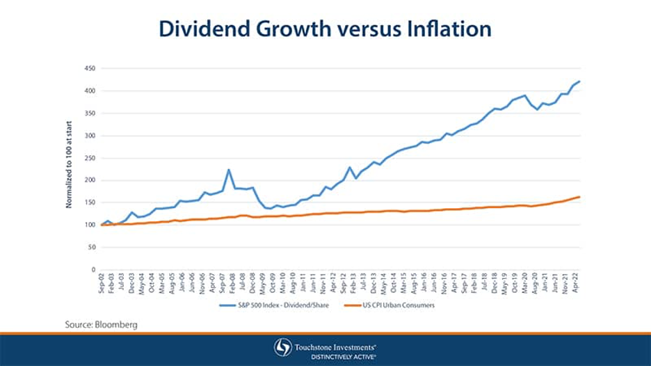 🛡️Dividend Stocks Protect Your Wealth